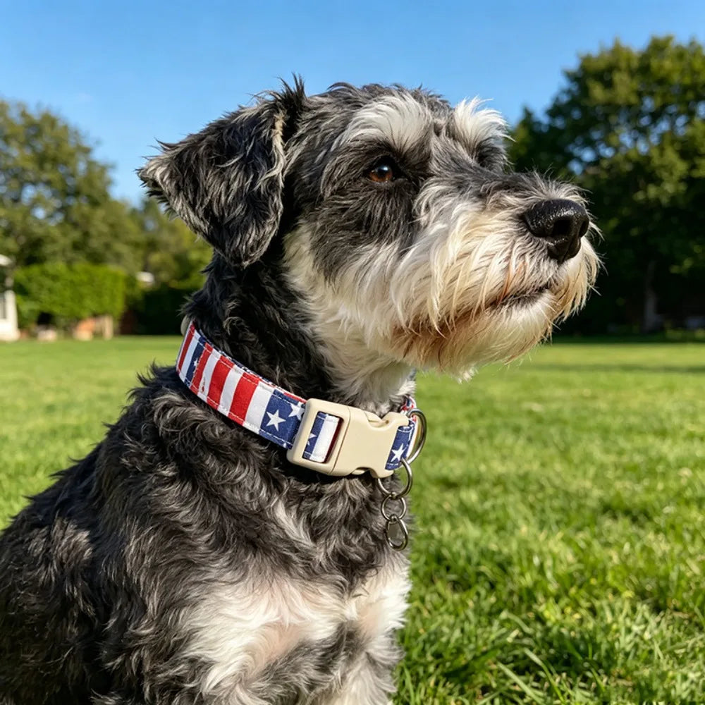 Popular American flag pet collar, adjustable buckle dog collar, cat neck ring in stock