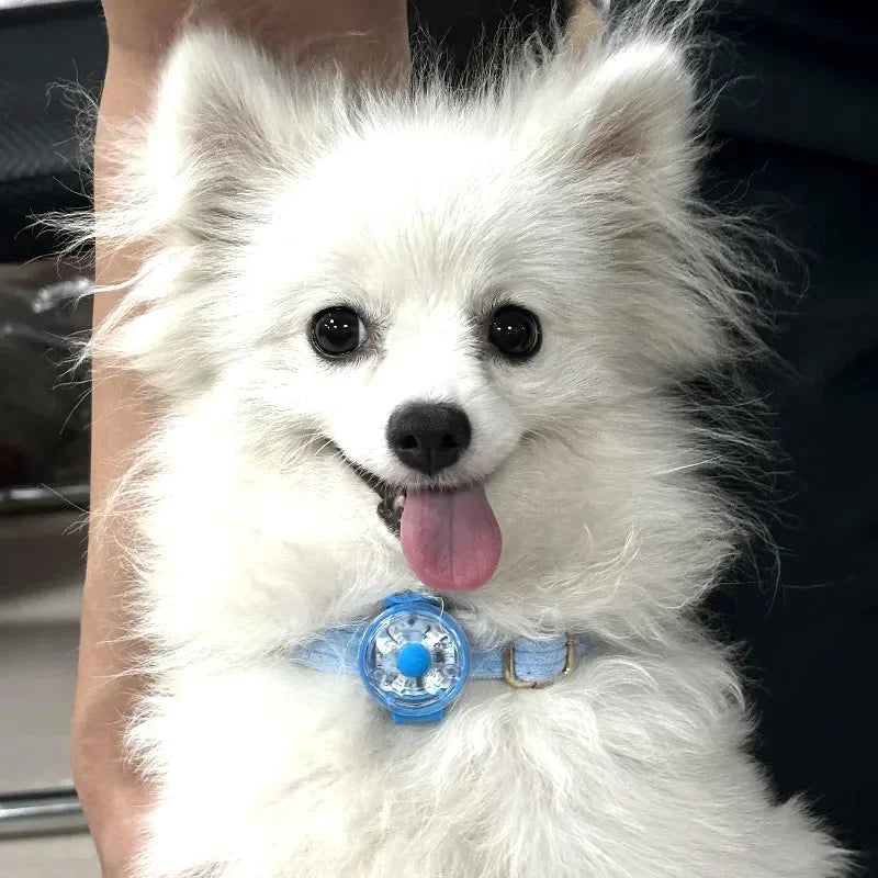 Dogs Collars Anti Loss Pendant Waterproof Safety LED Flashing Light USB Rechargeable LED Light Pendant For Dogs Cats Pets