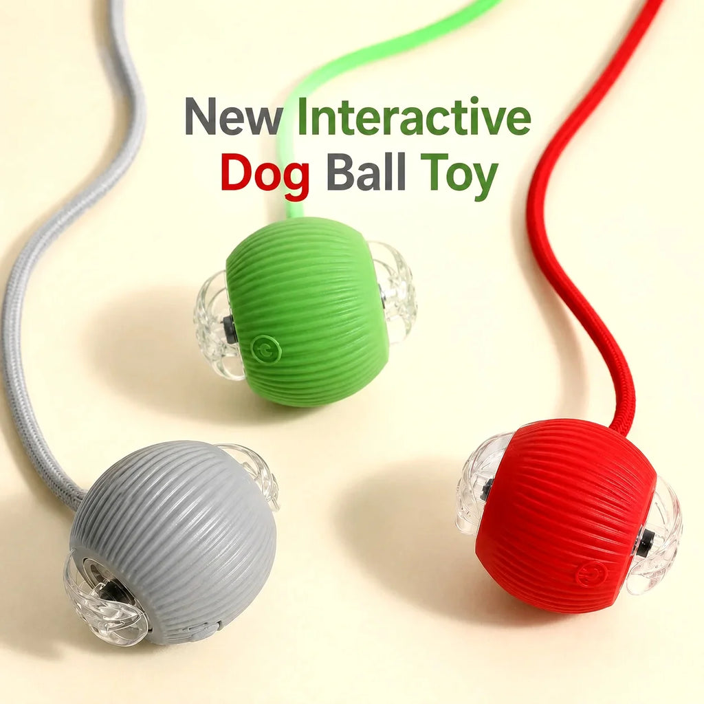 New Dog Interactive Ball Toy,Automatic Rolling Dog Ball Rechargeable,Smart Puppy Interactive Toy,Intelligent Balls Toy for Dogs