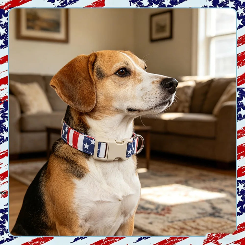 Popular American flag pet collar, adjustable buckle dog collar, cat neck ring in stock