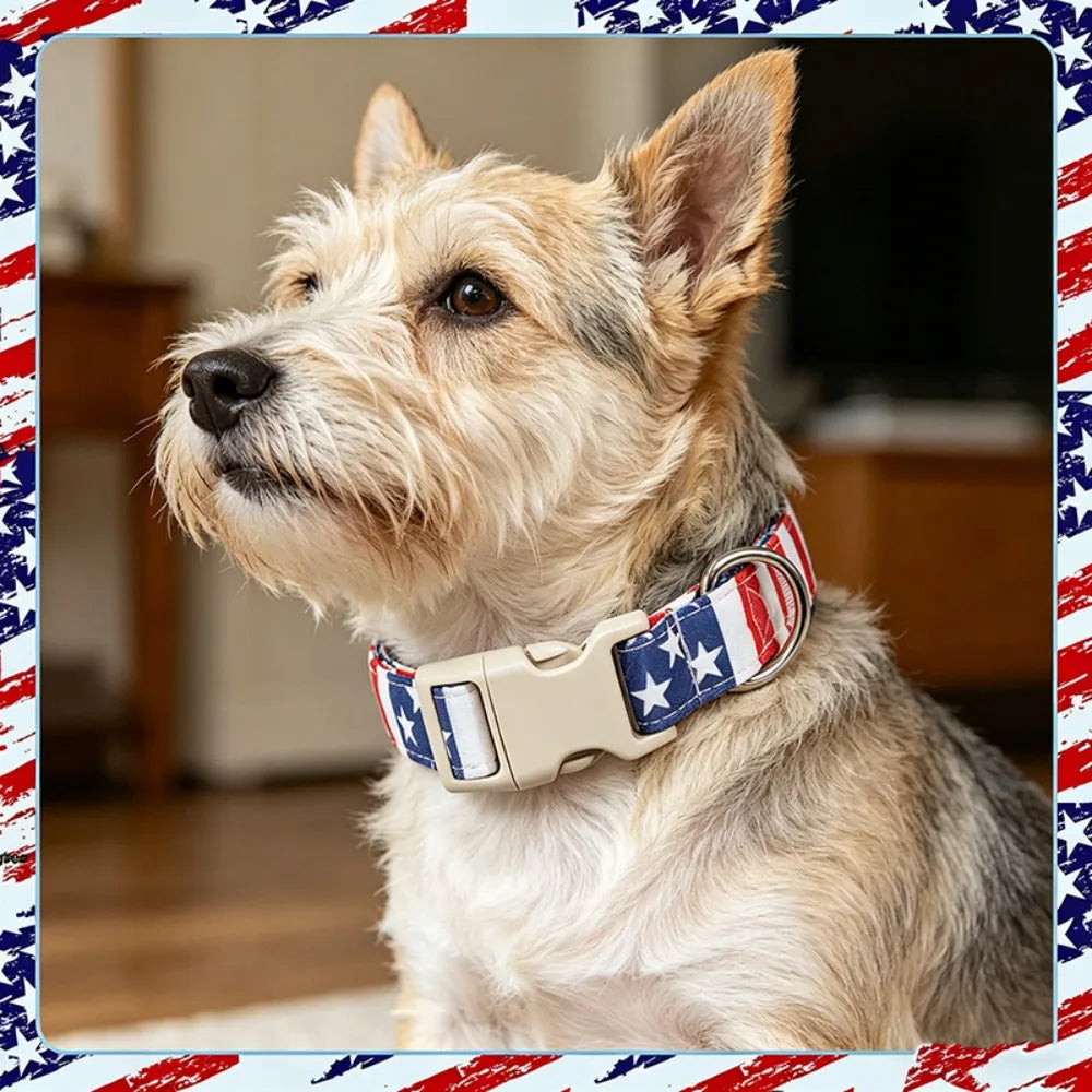 Popular American flag pet collar, adjustable buckle dog collar, cat neck ring in stock
