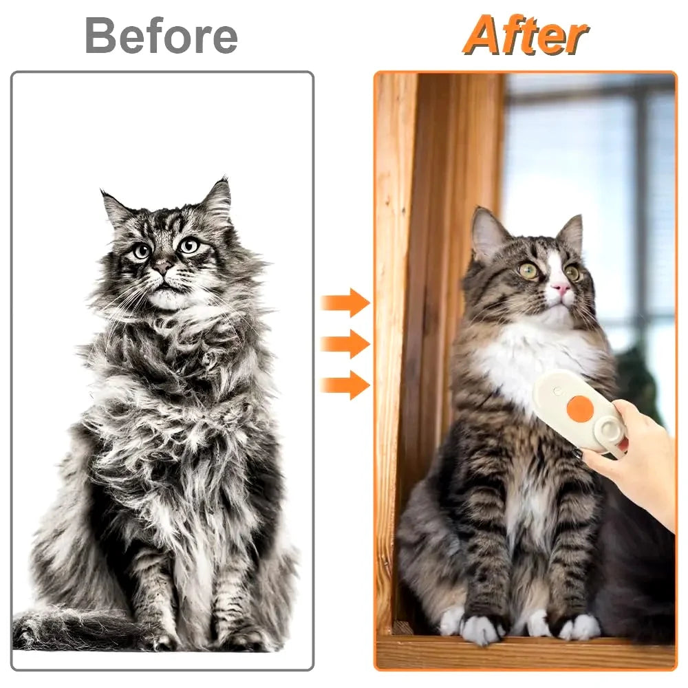 Cat Dog Pet Spray Massage Brush One Button Steam Spray Folding Rotatable Floating Hair Bath Hair Removal Brush Comb#pet cleaning tools